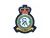 Royal Air Force Squadron Gold Bullion Badge