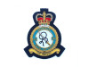 Royal Air Force Squadron Gold Bullion Badge